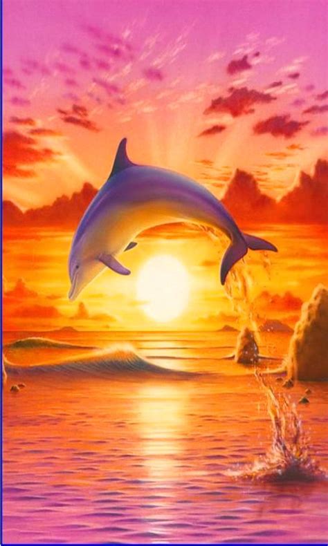 Beautiful Dolphin Sunset Wallpapers - 4k, HD Beautiful Dolphin Sunset Backgrounds on WallpaperBat