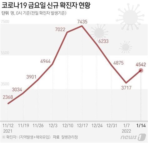 그래픽 코로나19 금요일 신규 확진자 현황14일 네이트 뉴스