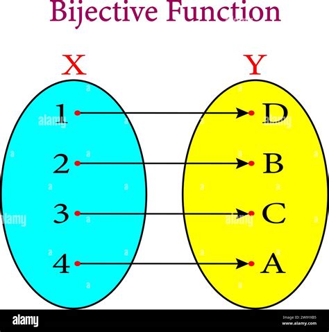 Diagram Showing A Bijective Function Vector Illustration Stock Vector