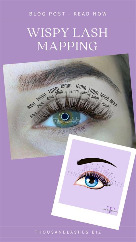 A Comprehensive Guide To Lash Mapping Wispy Lashes Lashes Eyelashes