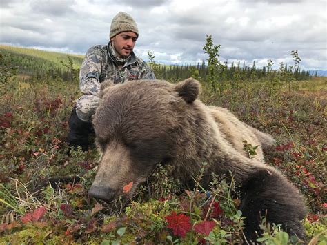 Tyrrells Trails Alaska Hunting Outfitter In The Brooks Range