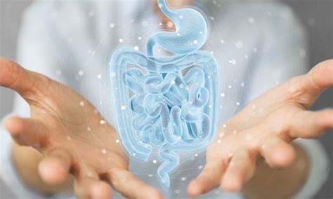 How To Prevent Colorectal Cancer Gastro Associates