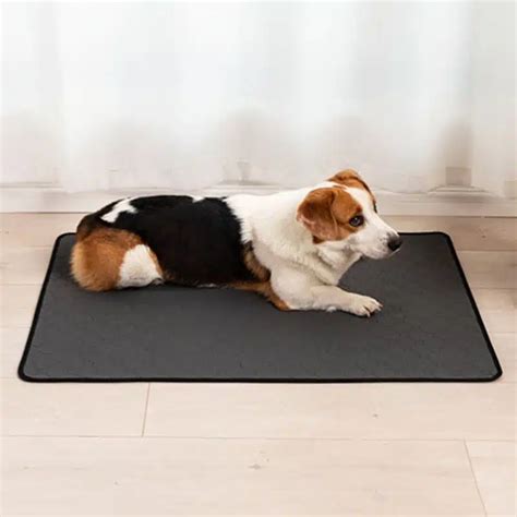 Tapis De Toilette Absorbant Et Lavable Gris Pour Chiens Abc Chiens