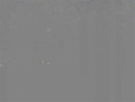 SAUDI ARABIAN WOMAN SHOWS HER SHAVEN PUSSY