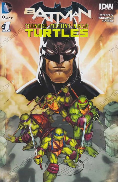 Dc Comics Batmantmnt 01 1st Cover Re Amazing Comic Con A Tmnt