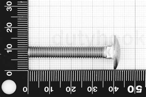 M X Carriage Bolt Din Stainless Steel Aisi Marine Grade