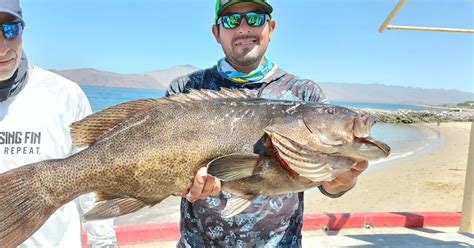 Festejar N D A Del Marino Con Torneo De Pesca Deportiva San Felipe