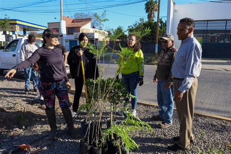 DIF de Rioverde impulsa reforestación para un municipio más verde