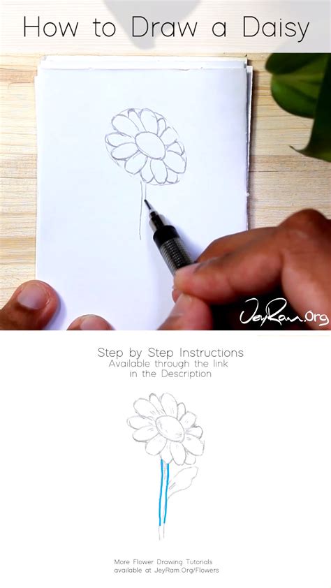 How To Draw A Daisy Step By Step For Beginners Artofit