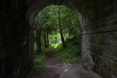 Dogs Jump To Their Death From This Bridge In Scotland