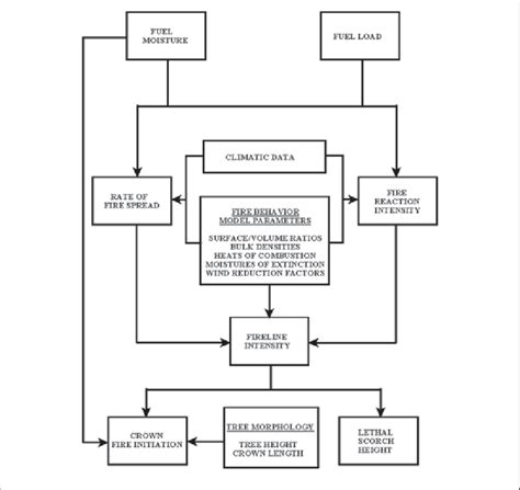 Flow Diagram For Simulation Of Fire Behavior Surface And Crown Fire Download Scientific