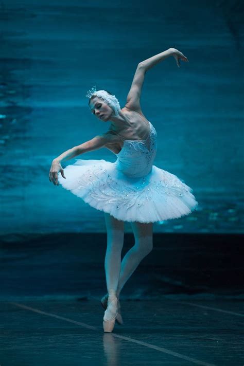 El Lago De Los Cisnes Ballet Nacional De Kiev Guillermo Mendo