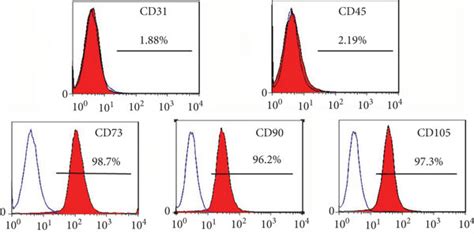 The Isolation And Characterization Of Rat Mandible Derived Bmmscs Download Scientific Diagram