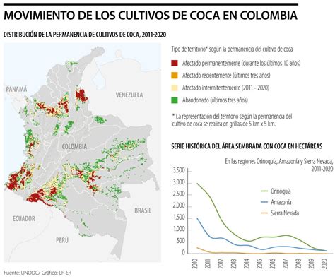 Cultivos De Coca Últimas Noticias Económicas De Cultivos De Coca