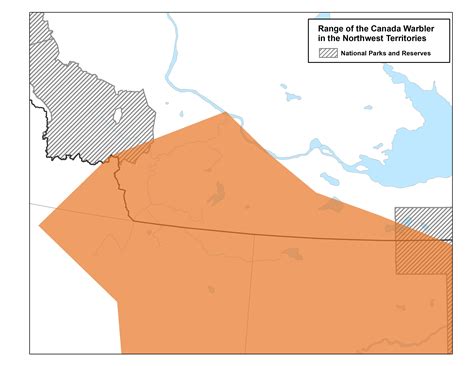 Canada Warbler Nwt Species At Risk