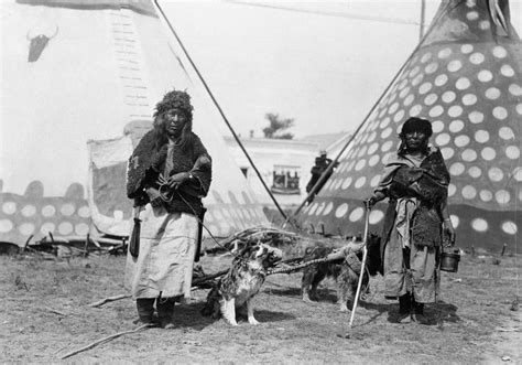 Native American Indians With Dogs And Travois Indigenous People Of