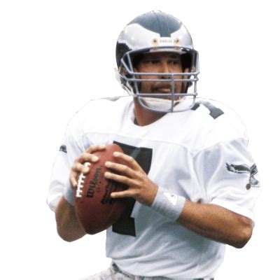 Ron Jaworski Stats Summary | NFL.com