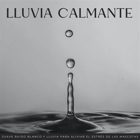 Lluvia Calmante Suave Ruido Blanco Y Lluvia Para Aliviar El Estr S De