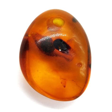 Natural Amber Gemstone 1250 Cts Amber Cabochon Healing Etsy