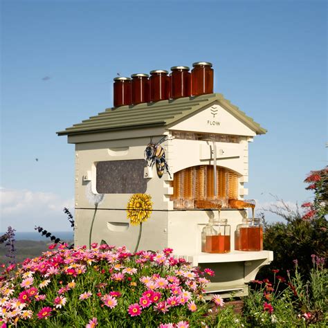 Flow Hive Classic Araucaria 6 Frame L Honey On Tap Beehive Flow Hive Au