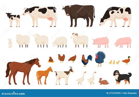 Various Village Farm Animals Domesticated Cattle And Domestic Birds