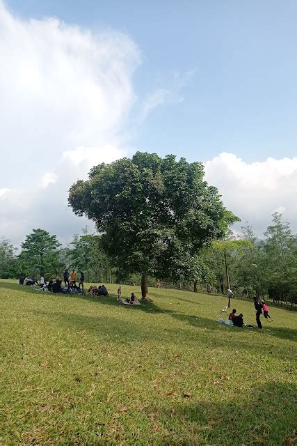 Wisata Waruwangi Yang Instagramable Bak Nuansa Alam Eropa Indsmediacom