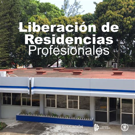 LiberaciÓn De Residencias Profesionales Tecnm Instituto Tecnológico