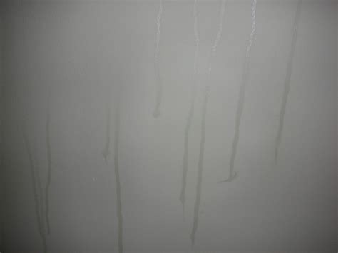 What Causes Streaks On Walls At Harry Richey Blog