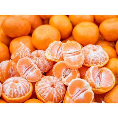 Cny Promo Lokam Yong Chun Limau Mandarin Orange S M L Xl 4kg