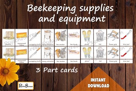 Honey Bee Unit Study Mega Printable Bees Bundle Anatomy Etsy Uk