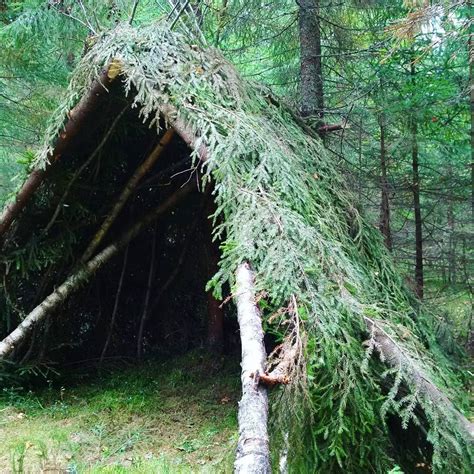 14 Survival Shelters You Can Build For Any Situation Survival Life Outdoor Survival Kit