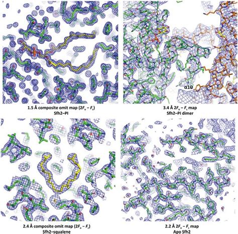 Iucr Structural Basis Of Ligand Recognition And Transport By Sfh2 A