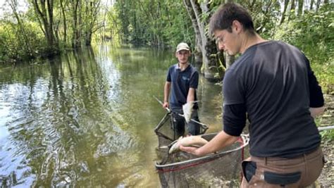 Pollution de la rivière lAume On na jamais connu une telle ampleur