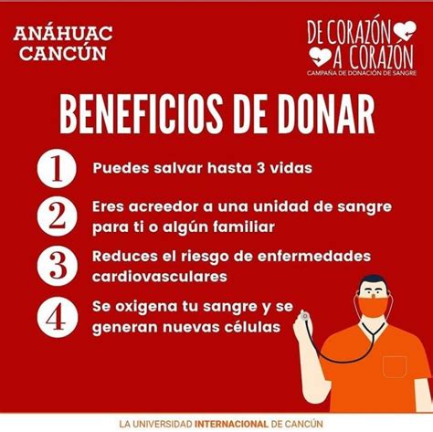 Ventajas Y Desventajas De Donar Sangre The Best Porn Website