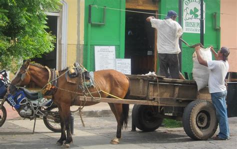 Habilitaron Un Registro De Carros Tirados Por Caballos Taringa