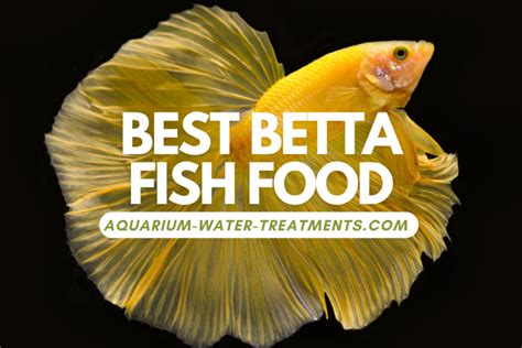 7 Best Betta Foods For Vibrant Fish Colors Aquarium Water Treatments