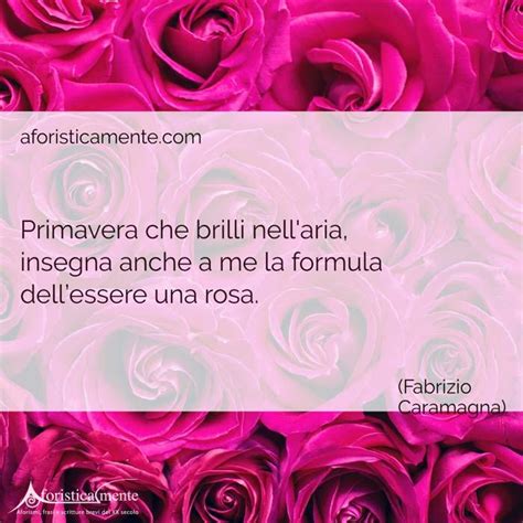 Frasi e aforismi sulla primavera le 60 più belle Aforisticamente