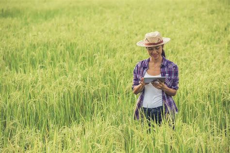 Quais As Regras Para As Mulheres Na Aposentadoria Rural Jornal Cont Bil