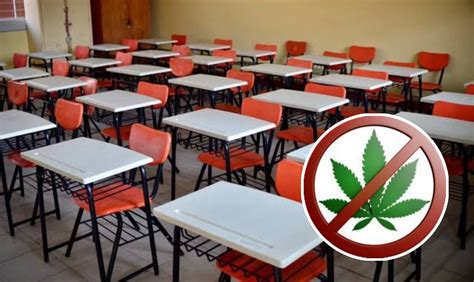 BUSCAN REDUCIR EL CONSUMO DE MARIHUANA EN ESCUELAS DE CUAUTLA Arturo