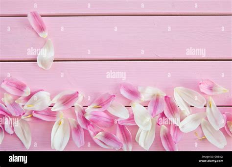 Pink Flower Petals Stock Photo Alamy