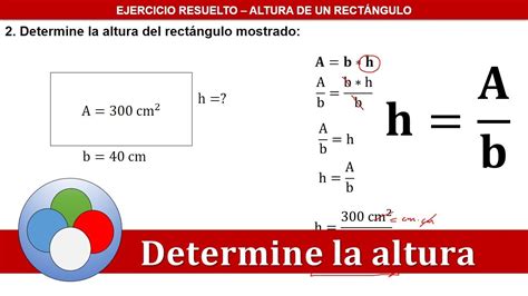 Altura De Un Rectangulo Formula Estudiar