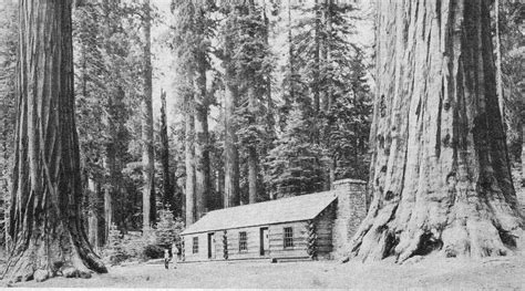 Self Guiding Auto Tour Of Yosemite National Park 1956 Mariposa