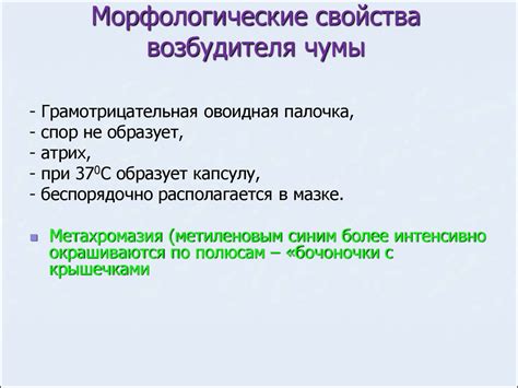 Зооантропонозные бактериальные инфекции - презентация онлайн