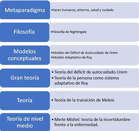 Tema Modelos Y Teor As Del Cuidado