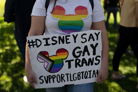 Don T Say Gay Bill Becomes Law In Florida Banning Sexual Orientation Instruction From K