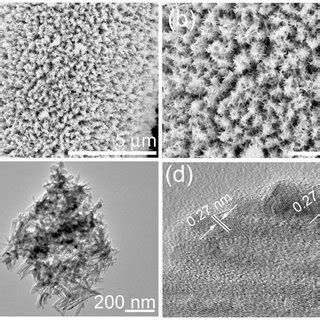 A B Sem Images C Tem Image And D Hrtem Image Of Nico O Fe