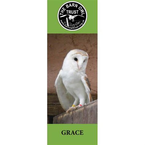 Barn Owl Trust Bookmark Grace The Barn Owl Trust