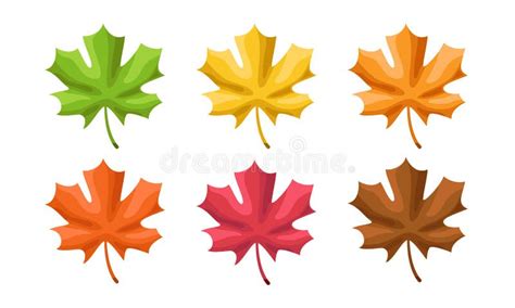 Set Of Vector Maple Leaves Multicolored Maple Leaves Isolated On White