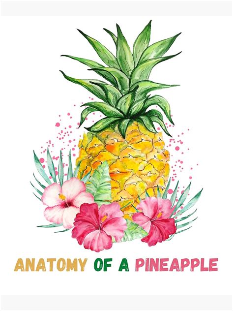 Anatomy Of A Pineapple Poster For Sale By Rhmm Redbubble