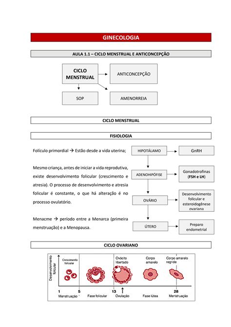 Solution Ginecologia Aula Ciclo Menstrual E Anticoncepcao Studypool